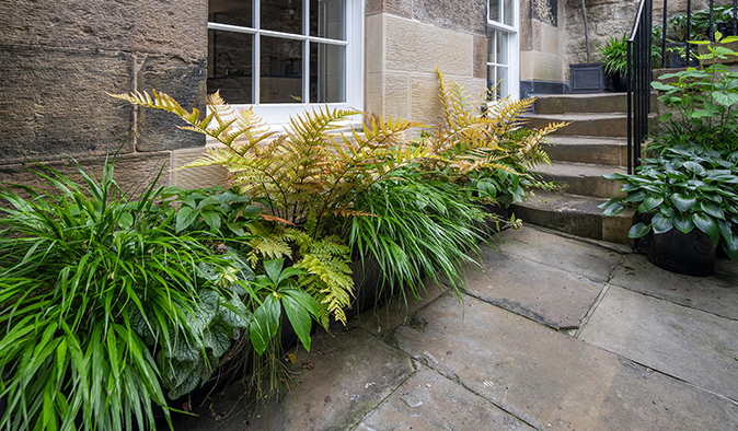 A garden design in New Town